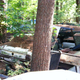 Illustration for article titled Massive Secret Mustang Junkyard Found In Rhode Island Forest